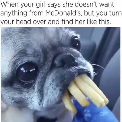 When your girl says she doesn't want anything from McDonald's, but you turn your head over and find her like this.