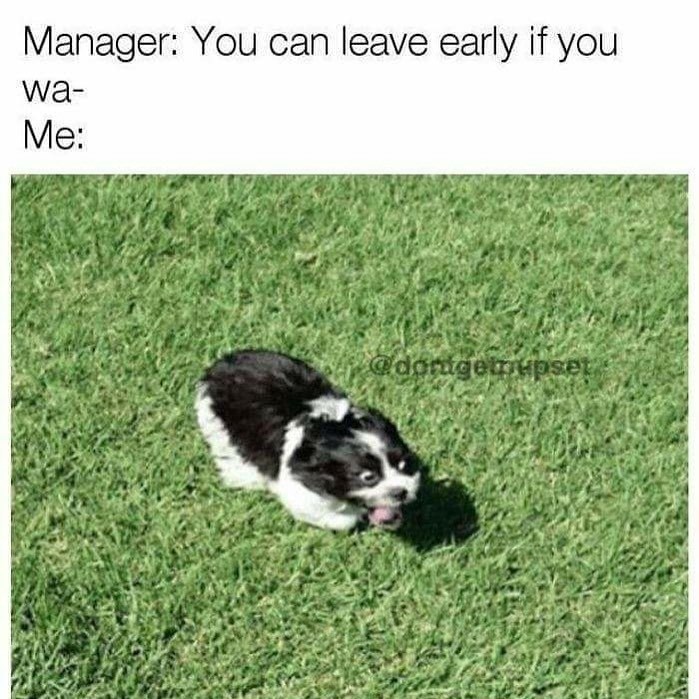 Manager: You can leave early if you wa- Me: @dontgemupset