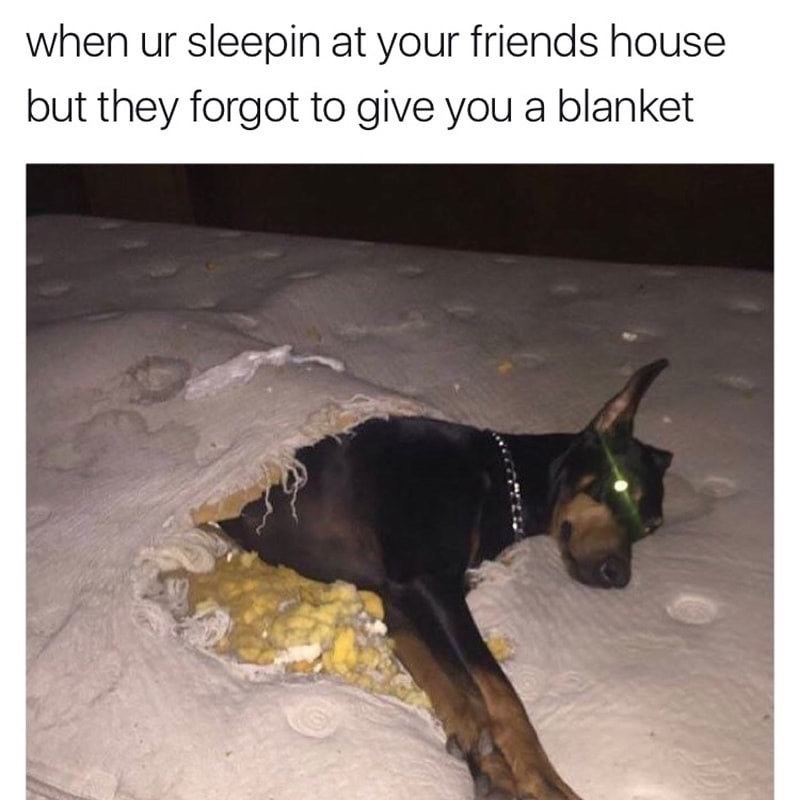 when ur sleepin at your friends house but they forgot to give you a blanket