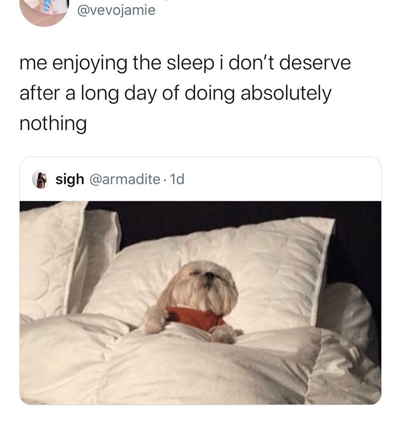 @vevojamie me enjoying the sleep i don't deserve after a long day of doing absolutely nothing sigh @armadite. 1d