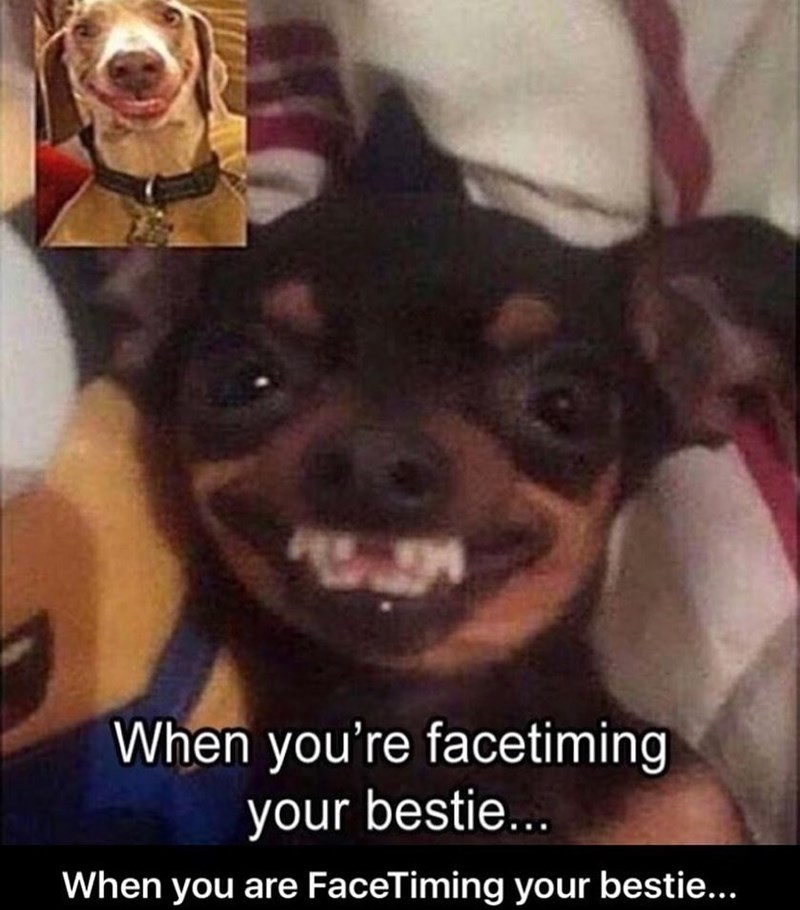 When you're facetiming your bestie... When you are FaceTiming your bestie...