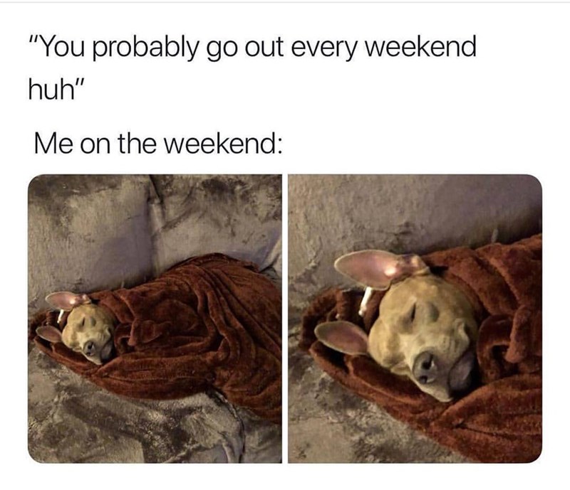 "You probably go out every weekend huh" Me on the weekend: