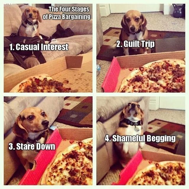 The Four Stages of Pizza Bargaining 1. Casual Interest 2. Guilt Trip 4. Shameful Begging 3. Stare Down