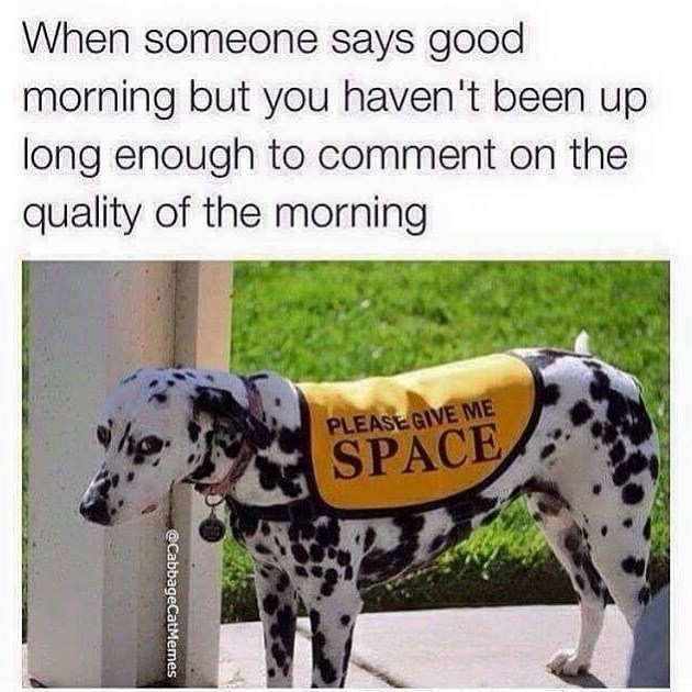 When someone says good morning but you haven't been up long enough to comment on the quality of the morning he @CabbageCatMemes PLEASE GIVE ME SPACE