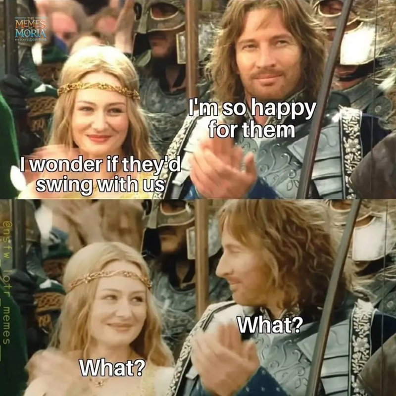 THE MEMES MORIA +ХОХУКДОН Х00 I wonder if they'd swing with us I'm so happy for them S ensfw lotr_memes_ TO What? What?