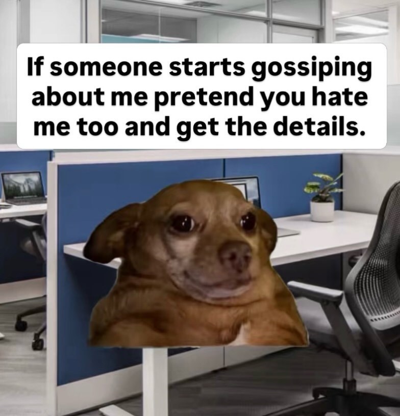 If someone starts gossiping about me pretend you hate me too and get the details.