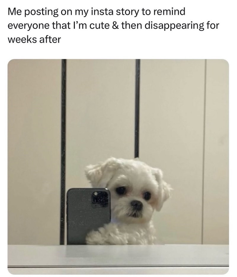 Me posting on my insta story to remind everyone that I'm cute & then disappearing for weeks after