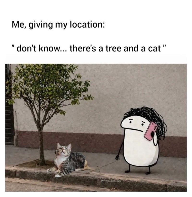 Me, giving my location: " don't know... there's a tree and a cat " Ovinnie and im