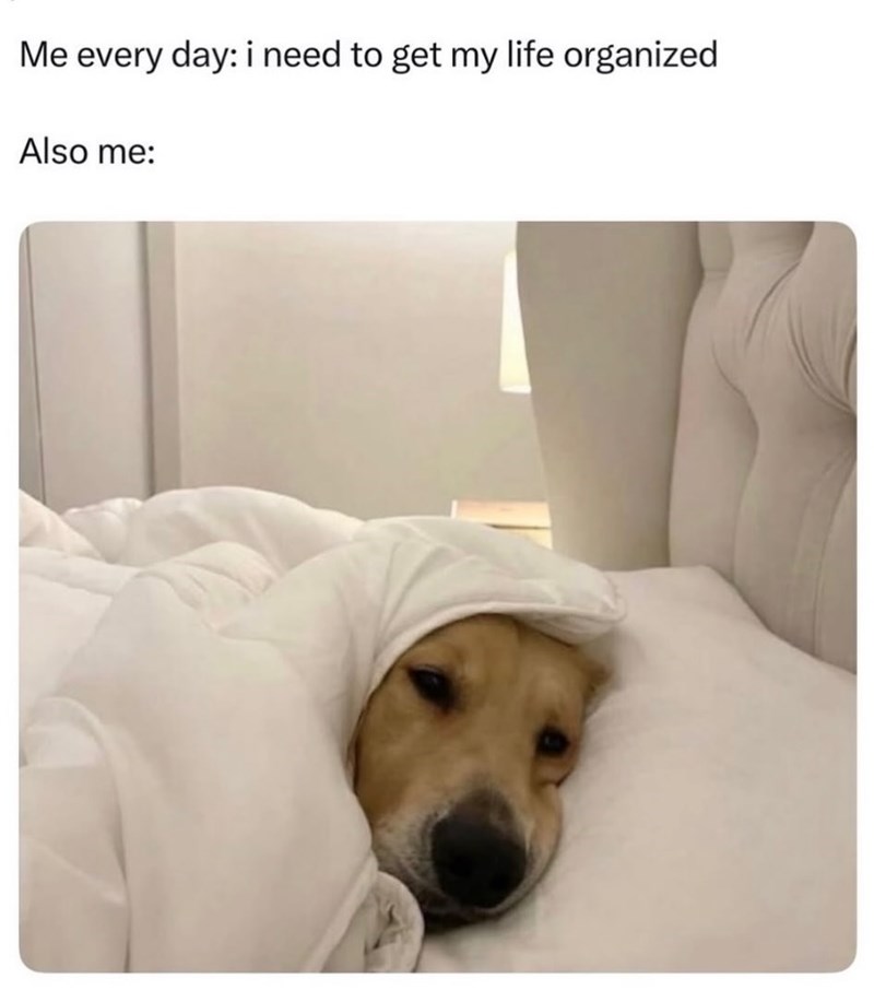 Me every day: i need to get my life organized Also me: