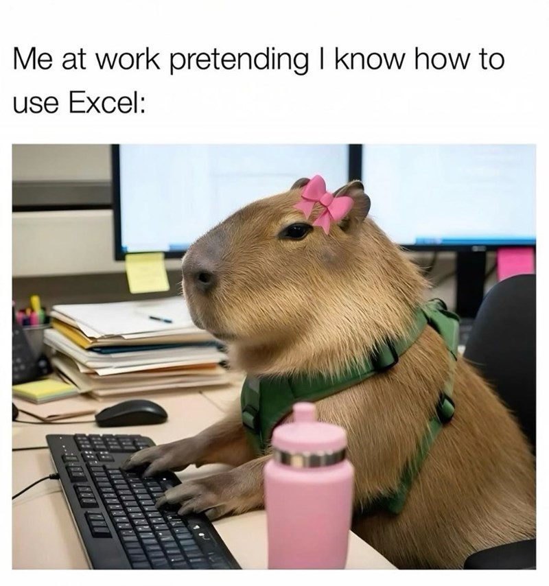 Me at work pretending I know how to use Excel: