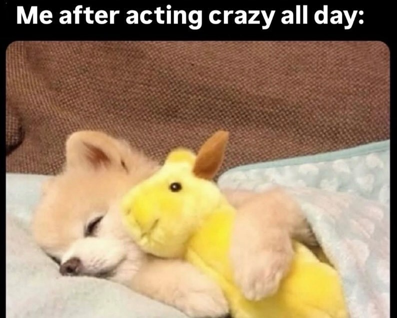 Me after acting crazy all day: