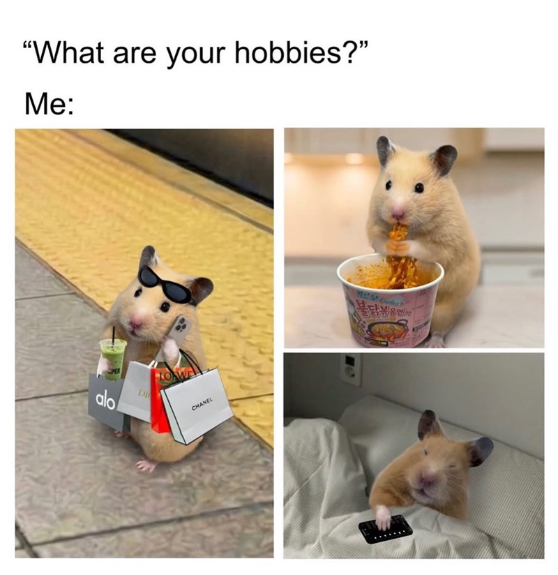 "What are your hobbies?" Me: alo DI CHANEL 까르보 Corts) 불닭볶음엔존의
