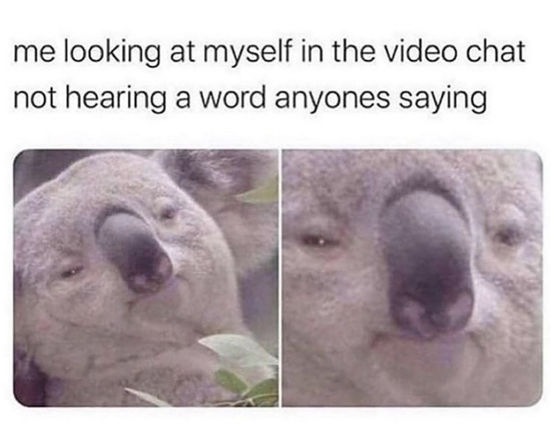 me looking at myself in the video chat not hearing a word anyones saying