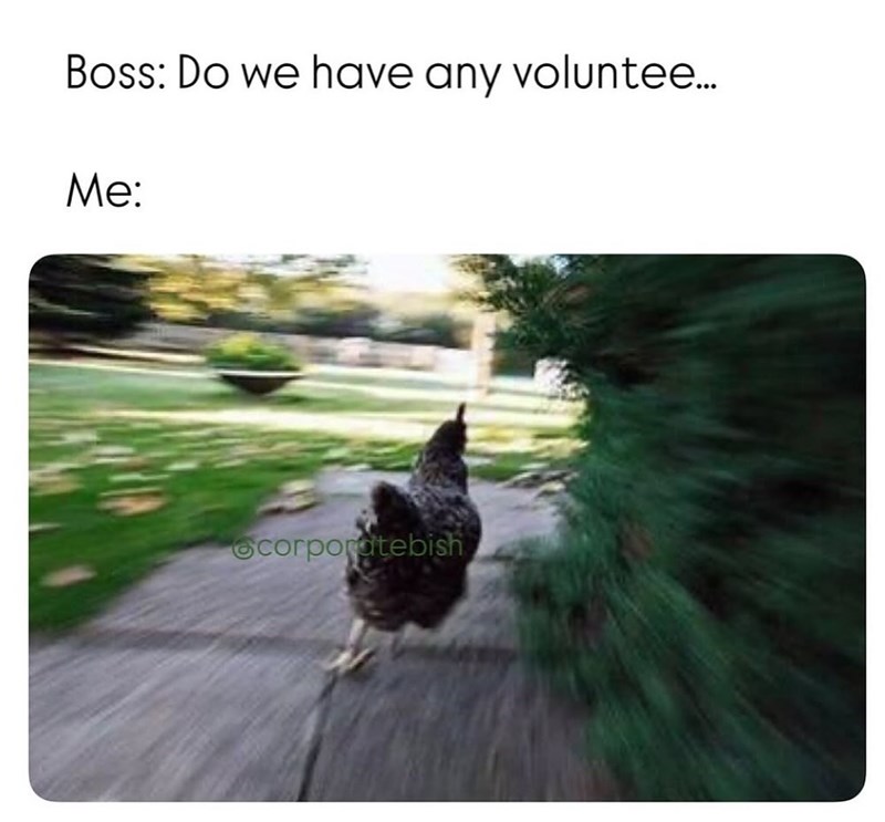 Boss: Do we have any voluntee... Me: corporatebish