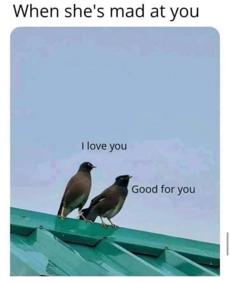 When she's mad at you I love you Good for you