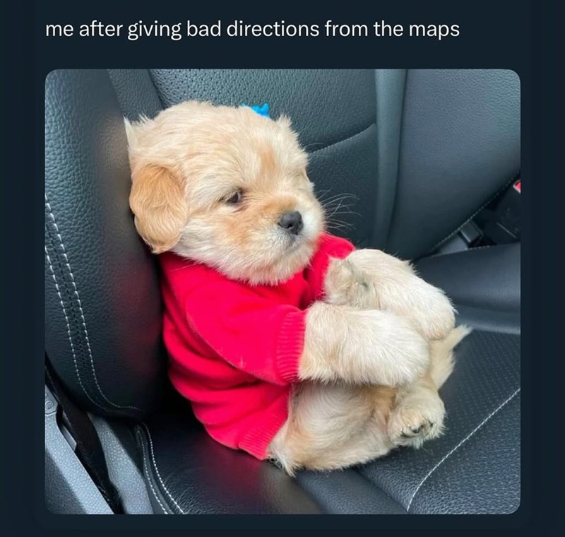 me after giving bad directions from the maps