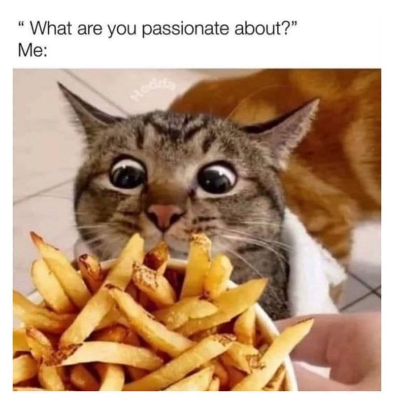 "What are you passionate about?" Me: