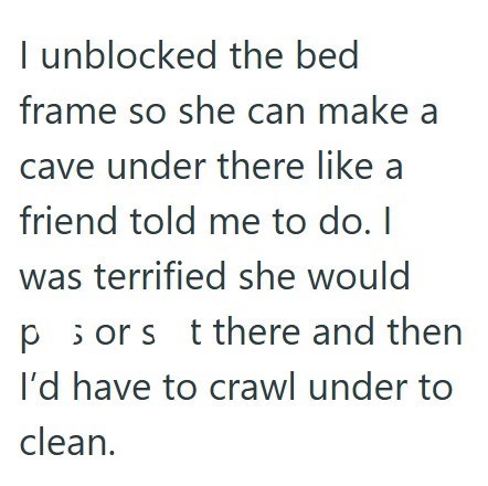 I unblocked the bed frame so she can make a cave under there like a friend told me to do. I was terrified she would por s t there and then I'd have to crawl under to clean.