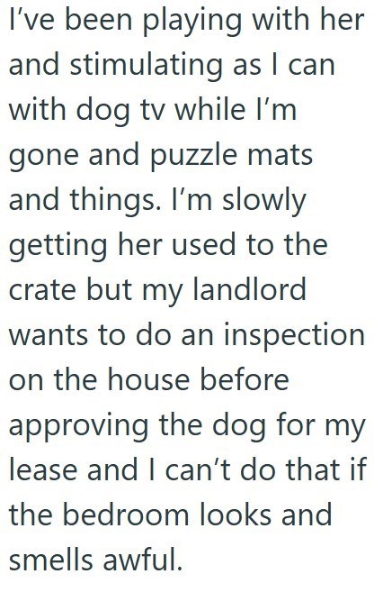 I've been playing with her and stimulating as I can with dog tv while I'm gone and puzzle mats and things. I'm slowly getting her used to the crate but my landlord wants to do an inspection on the house before approving the dog for my lease and I can't do that if the bedroom looks and smells awful.