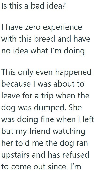 Is this a bad idea? I have zero experience with this breed and have no idea what I'm doing. This only even happened because I was about to leave for a trip when the dog was dumped. She was doing fine when I left but my friend watching her told me the dog ran upstairs and has refused to come out since. I'm
