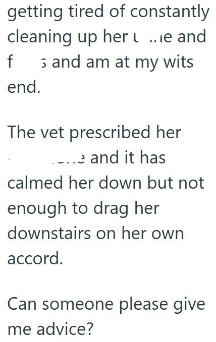 getting tired of constantly cleaning up her ɩ..ie and fs and am at my wits end. The vet prescribed her ..... and it has calmed her down but not enough to drag her downstairs on her own accord. Can someone please give me advice?