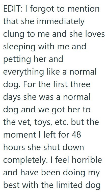 EDIT: I forgot to mention that she immediately clung to me and she loves sleeping with me and petting her and everything like a normal dog. For the first three days she was a normal dog and we got her to the vet, toys, etc. but the moment I left for 48 hours she shut down completely. I feel horrible and have been doing my best with the limited dog