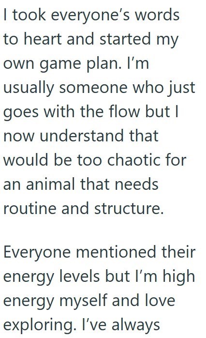 I took everyone's words to heart and started my own game plan. I'm usually someone who just goes with the flow but I now understand that would be too chaotic for an animal that needs routine and structure. Everyone mentioned their energy levels but I'm high energy myself and love exploring. I've always