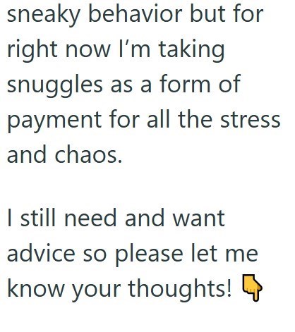 sneaky behavior but for right now I'm taking snuggles as a form of payment for all the stress and chaos. I still need and want advice so please let me know your thoughts!