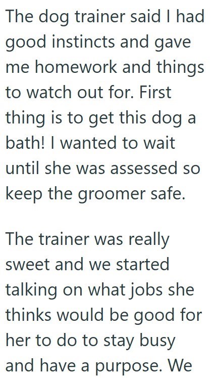 The dog trainer said I had good instincts and gave me homework and things to watch out for. First thing is to get this dog a bath! I wanted to wait until she was assessed so keep the groomer safe. The trainer was really sweet and we started talking on what jobs she thinks would be good for her to do to stay busy and have a purpose. We