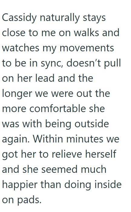 Cassidy naturally stays close to me on walks and watches my movements to be in sync, doesn't pull on her lead and the longer we were out the more comfortable she was with being outside again. Within minutes we got her to relieve herself and she seemed much happier than doing inside on pads.