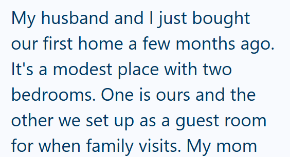 My husband and I just bought our first home a few months ago. It's a modest place with two bedrooms. One is ours and the other we set up as a guest room for when family visits. My mom