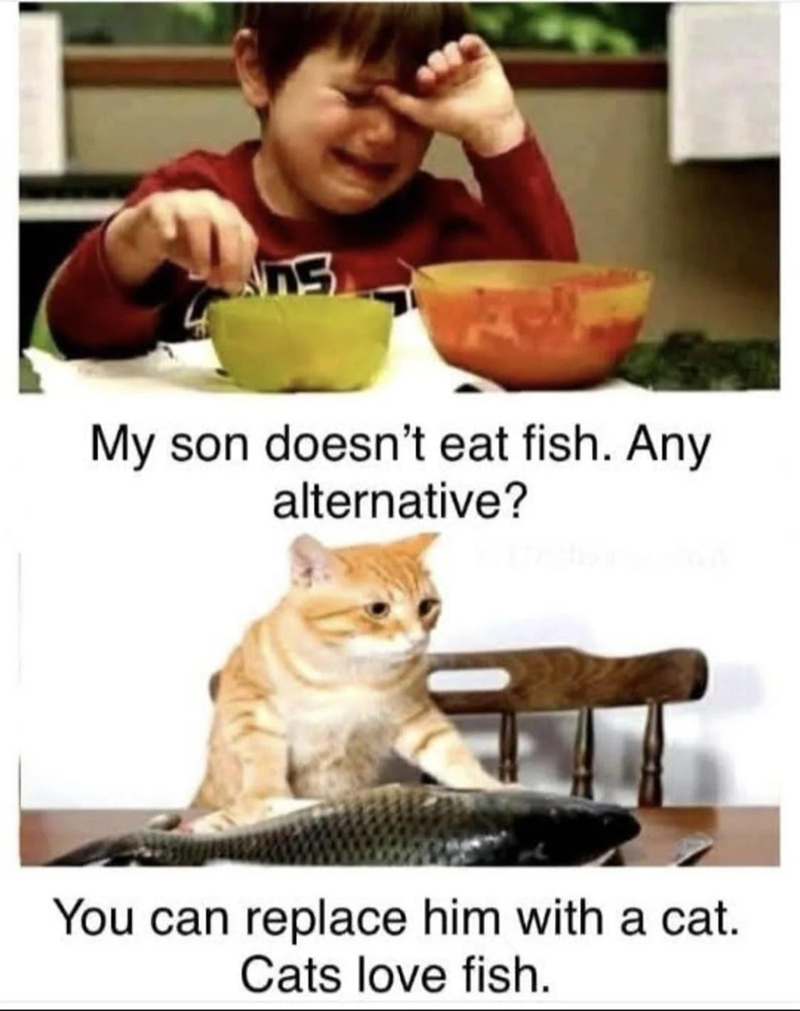 ns My son doesn't eat fish. Any alternative? You can replace him with a cat. Cats love fish.