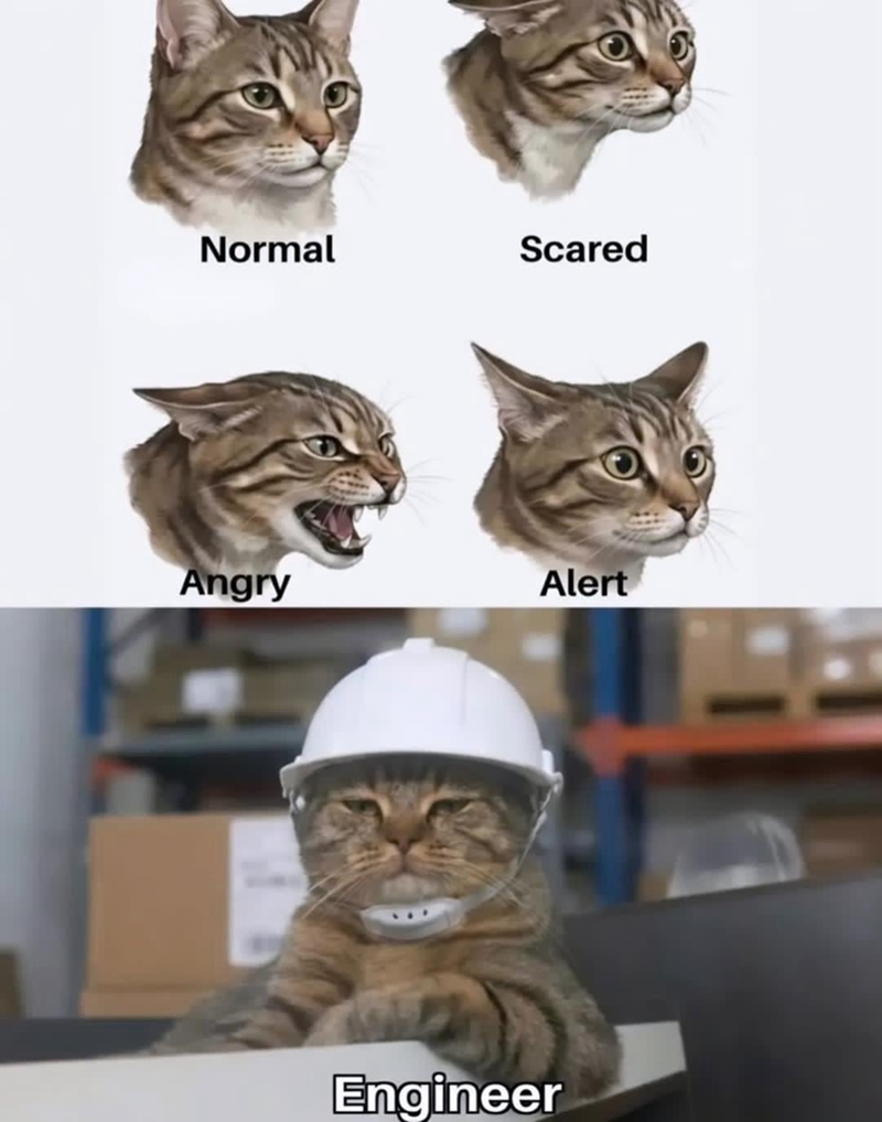 Normal Scared Angry Alert Engineer