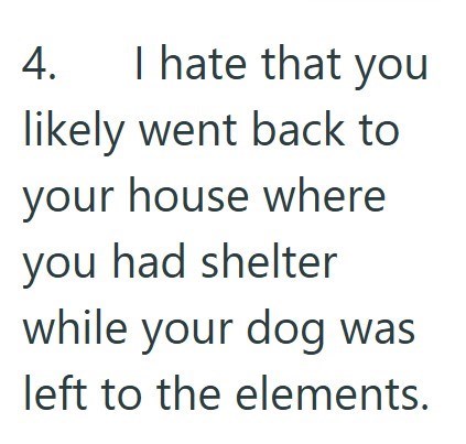 4. I hate that you likely went back to your house where you had shelter while your dog was left to the elements.