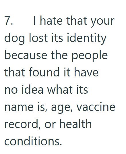 7. I hate that your dog lost its identity because the people that found it have no idea what its name is, age, vaccine record, or health conditions.
