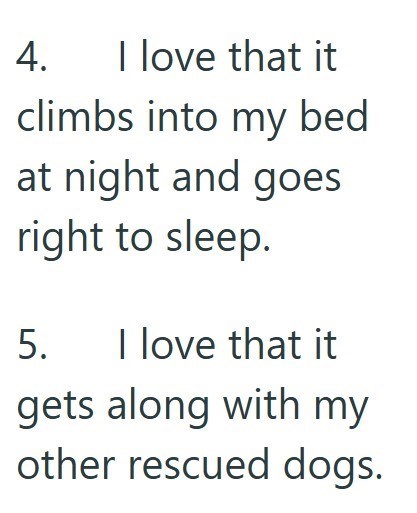 4. I love that it climbs into my bed at night and goes right to sleep. 5. I love that it gets along with my other rescued dogs.