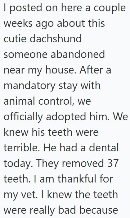 I posted on here a couple weeks ago about this cutie dachshund someone abandoned near my house. After a mandatory stay with animal control, we officially adopted him. We knew his teeth were terrible. He had a dental today. They removed 37 teeth. I am thankful for my vet. I knew the teeth were really bad because