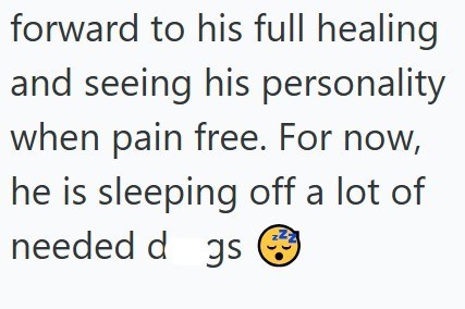 forward to his full healing and seeing his personality when pain free. For now, he is sleeping off a lot of needed dgs