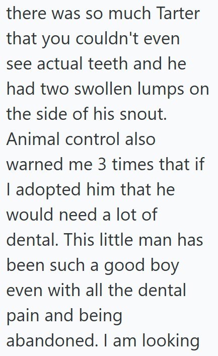 there was so much Tarter that you couldn't even see actual teeth and he had two swollen lumps on the side of his snout. Animal control also warned me 3 times that if I adopted him that he would need a lot of dental. This little man has been such a good boy even with all the dental pain and being abandoned. I am looking