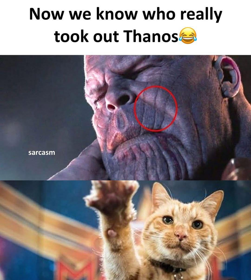 Now we know who really took out Thanos sarcasm