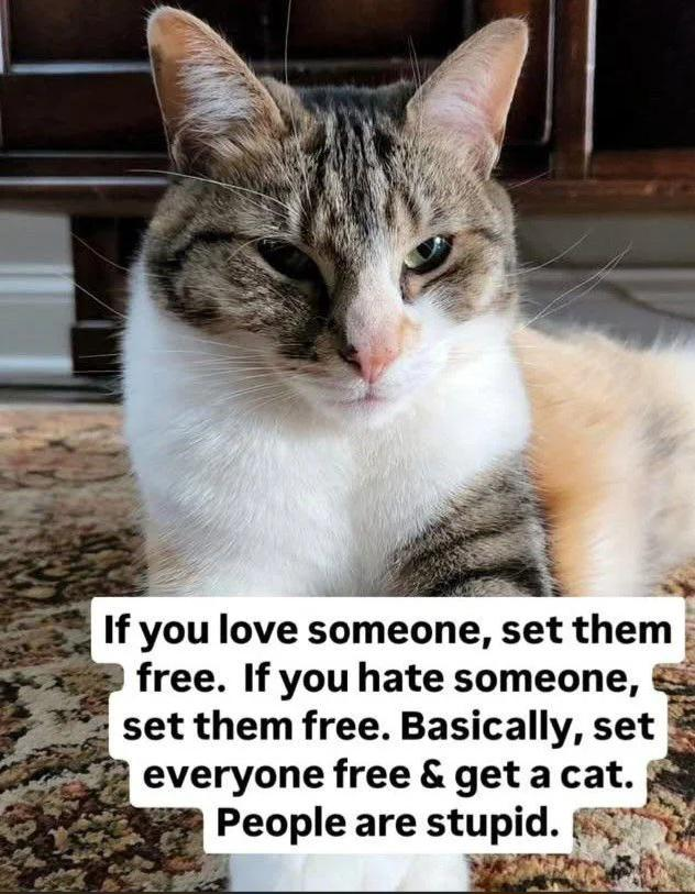 If you love someone, set them free. If you hate someone, set them free. Basically, set everyone free & get a cat. People are stupid.