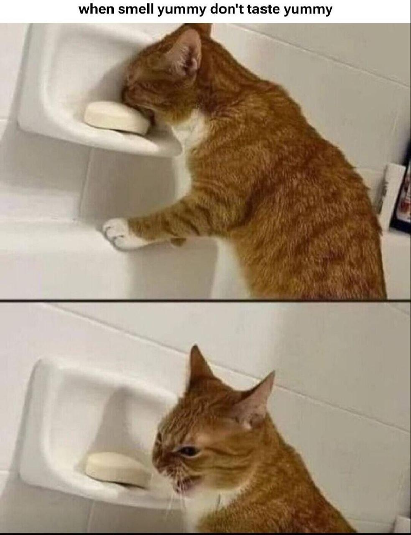 when smell yummy don't taste yummy