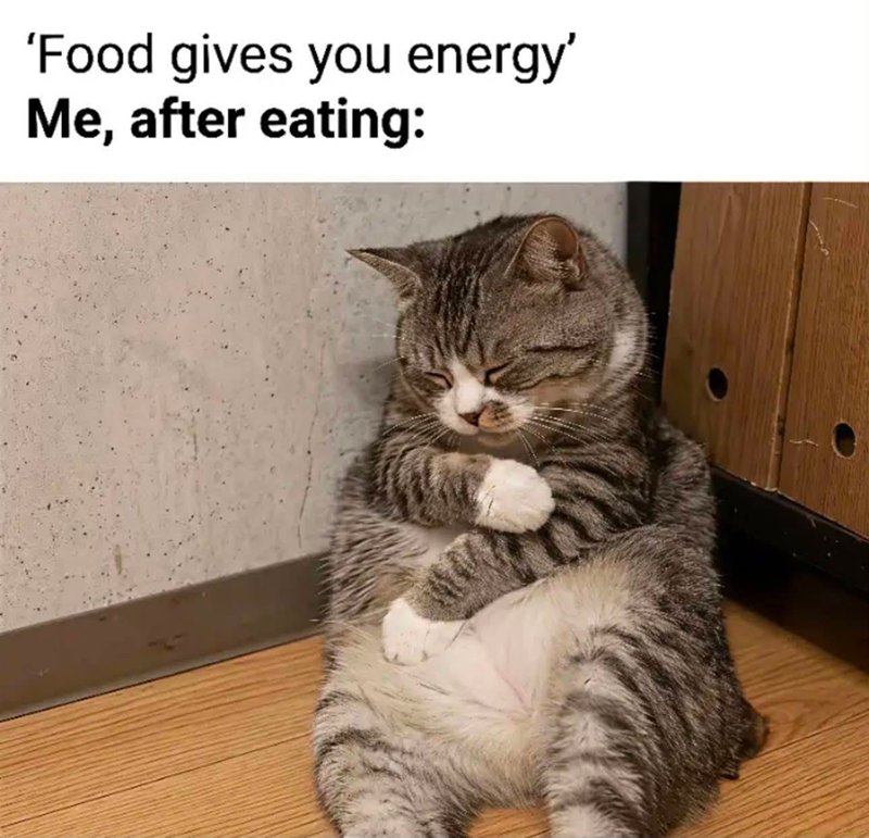 'Food gives you energy' Me, after eating: