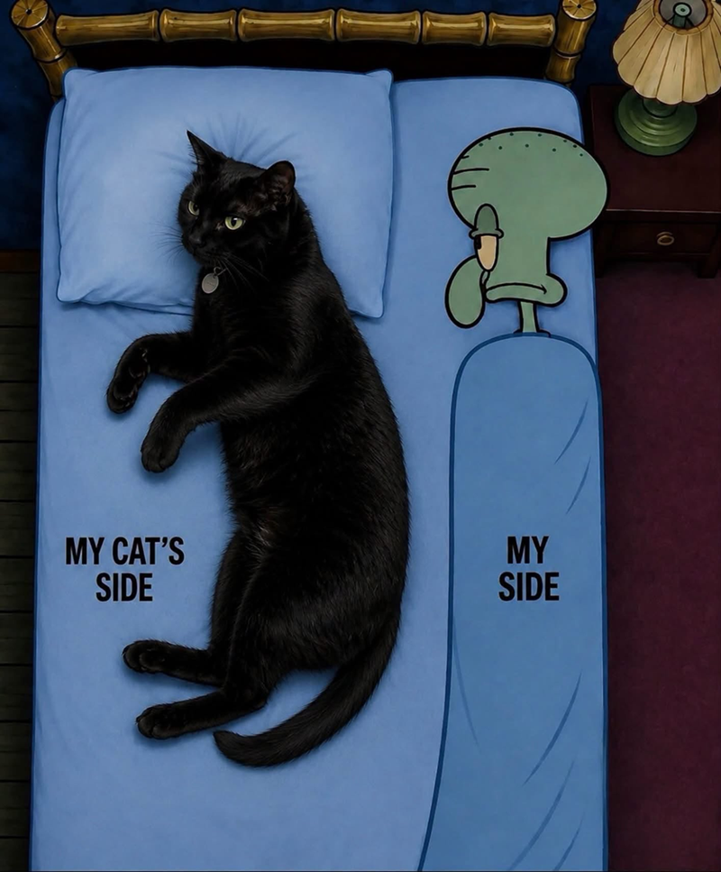 Ο MY CAT'S SIDE MY SIDE