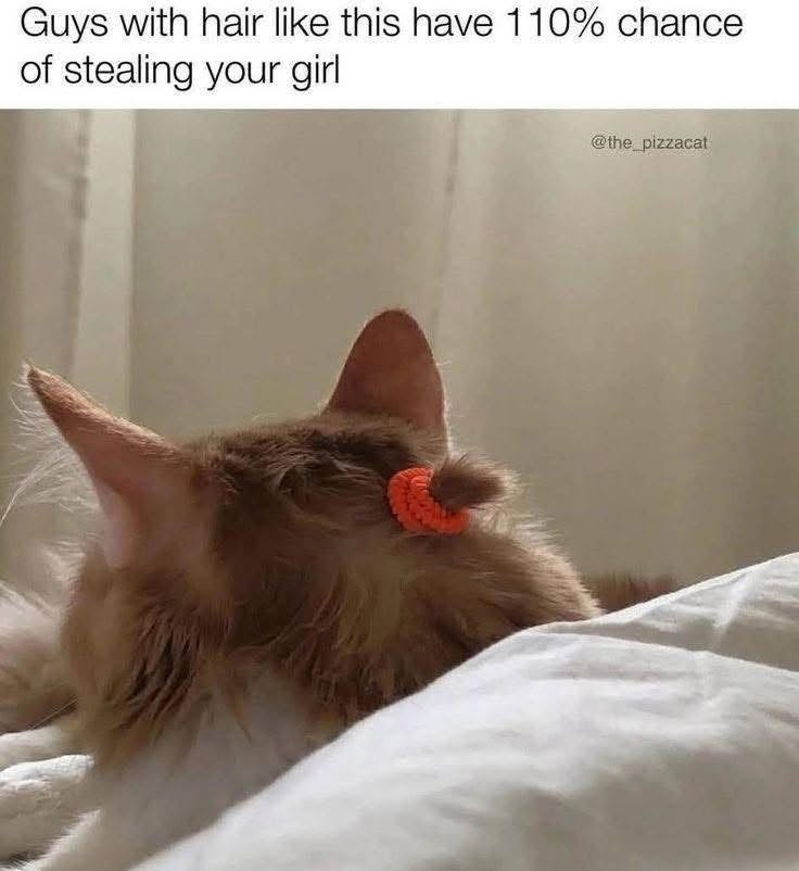 Guys with hair like this have 110% chance of stealing your girl @the_pizzacat
