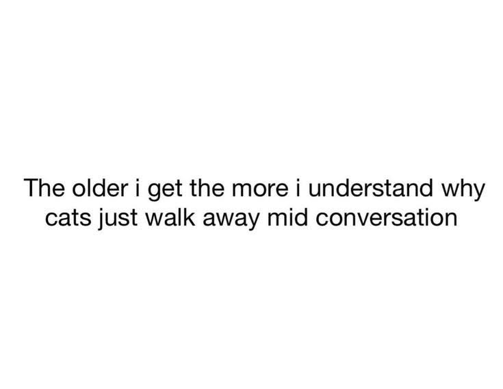 The older i get the more i understand why cats just walk away mid conversation