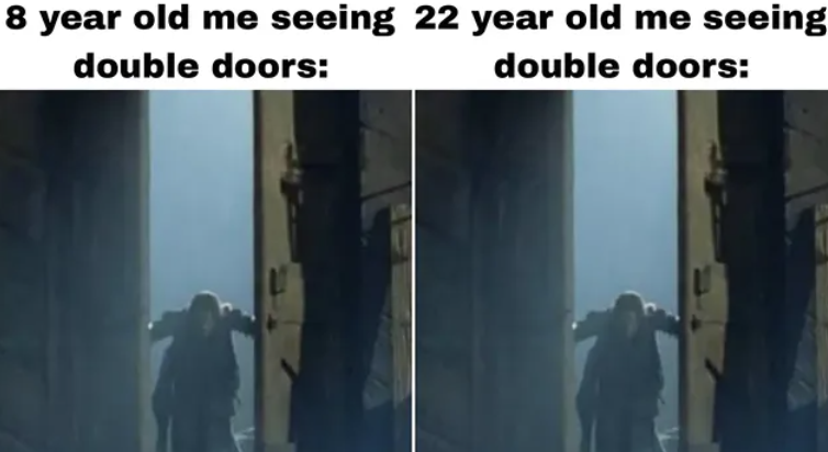 8 year old me seeing 22 year old me seeing double doors: double doors: