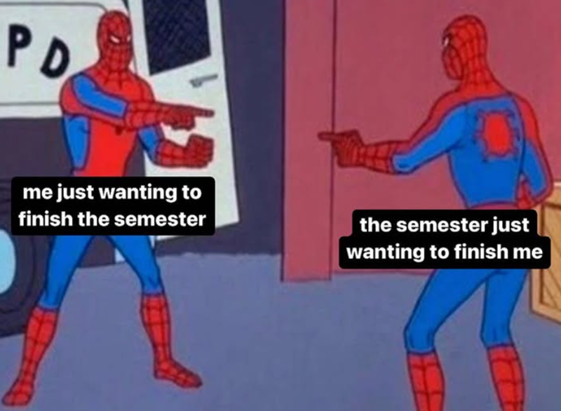 PD me just wanting to finish the semester the semester just wanting to finish me