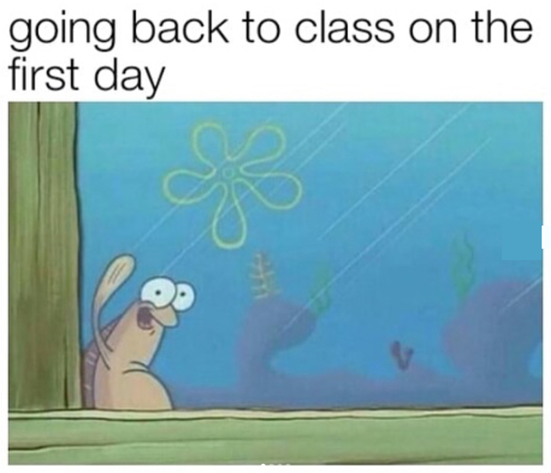 going back to class on the first day