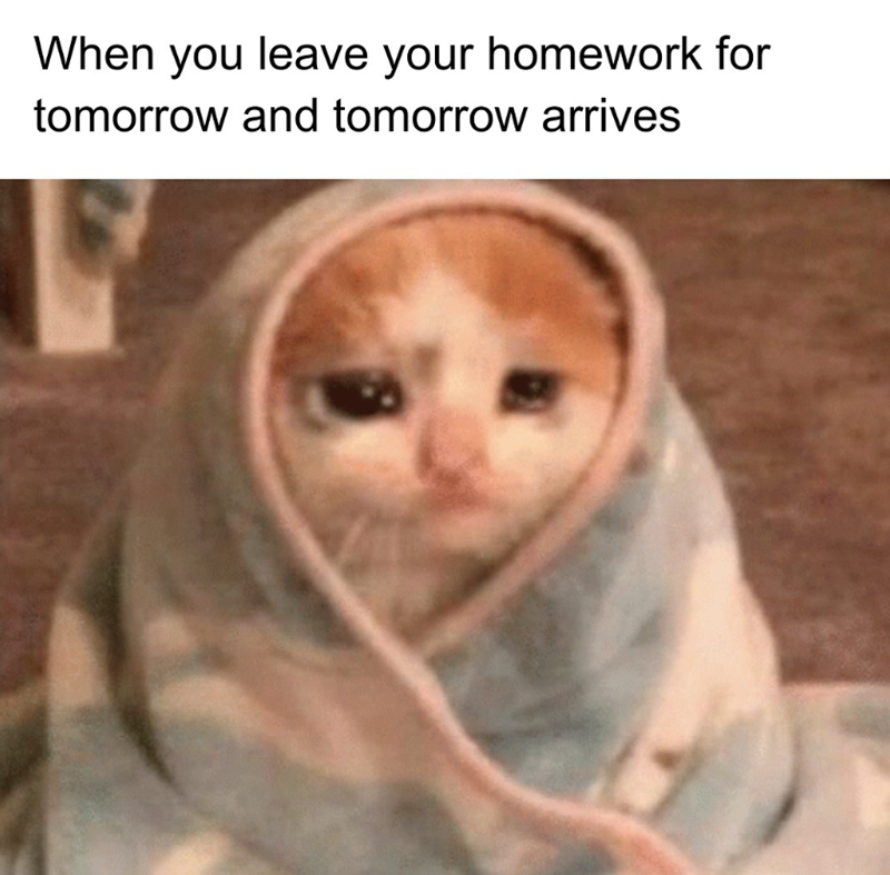 When you leave your homework for tomorrow and tomorrow arrives